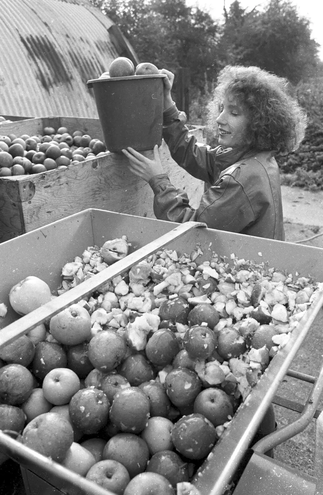 Monique loads up some apples, from Cider Making in Black and White, Stuston, Suffolk - 11th October 1992