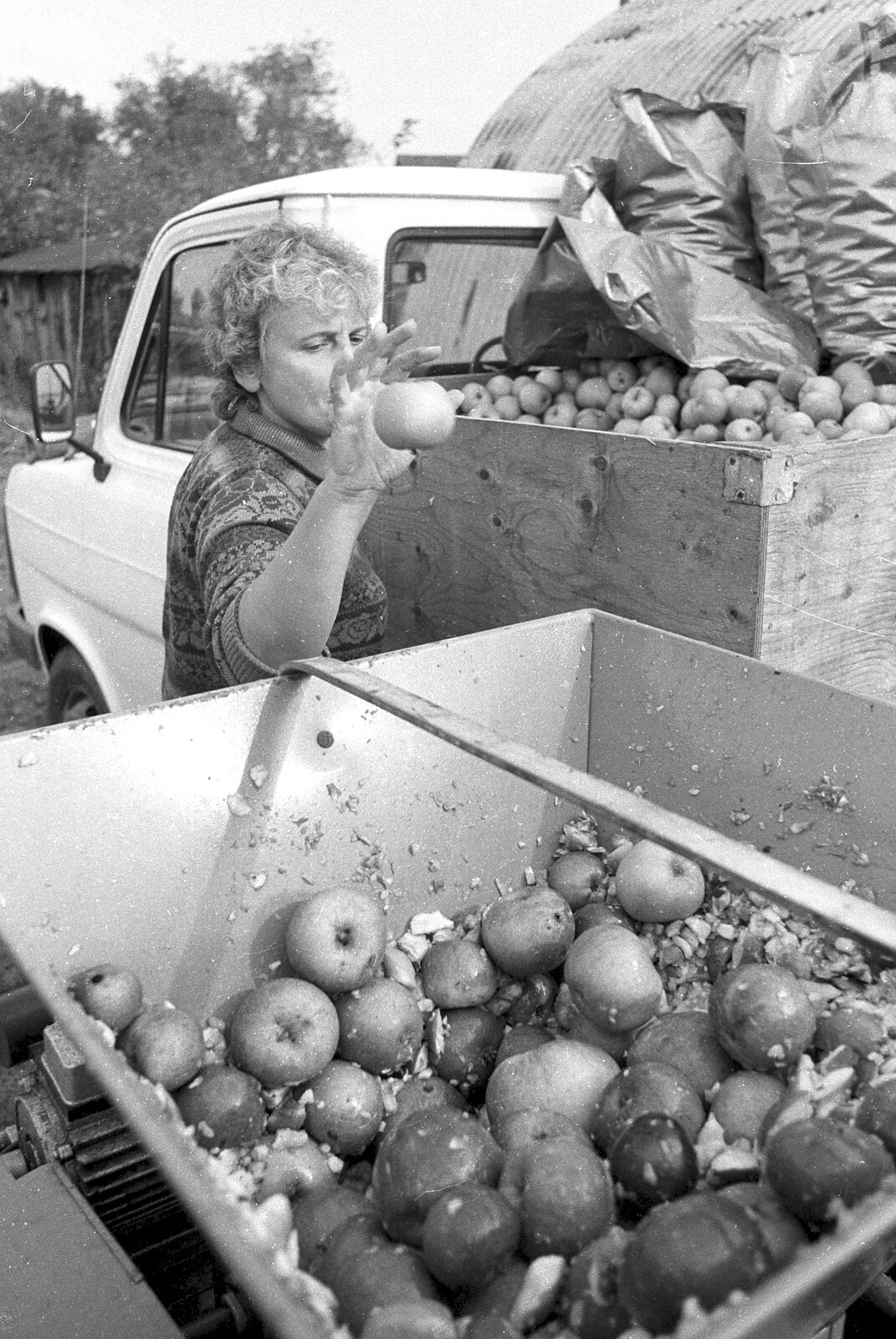Linda lobs an apple in to the chopper from Cider Making in Black and White, Stuston, Suffolk - 11th October 1992