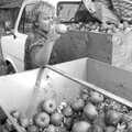 Linda lobs an apple in to the chopper, Cider Making in Black and White, Stuston, Suffolk - 11th October 1992
