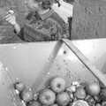 Linda tests the source material, Cider Making in Black and White, Stuston, Suffolk - 11th October 1992