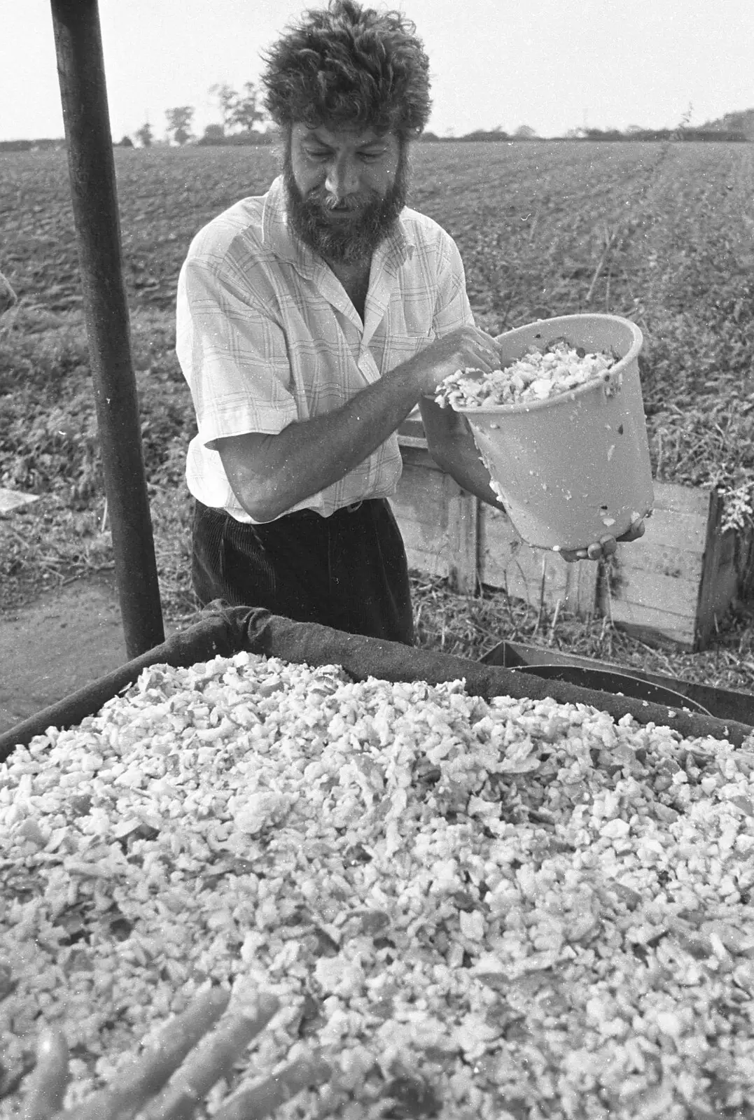 Mike Ogilsby tips on more chopped apples, from Cider Making in Black and White, Stuston, Suffolk - 11th October 1992