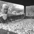 John furious tamps down apples, Cider Making in Black and White, Stuston, Suffolk - 11th October 1992