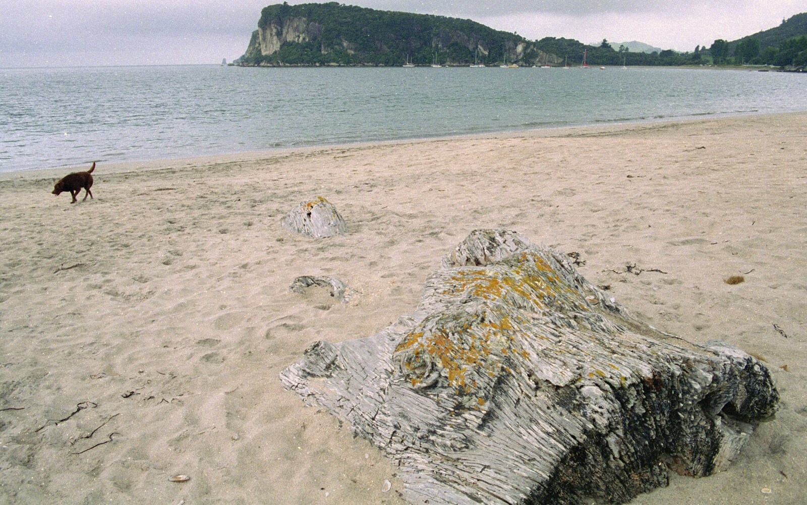 Hot Water Beach from Ferry Landing, Whitianga, New Zealand - 23rd November 1992