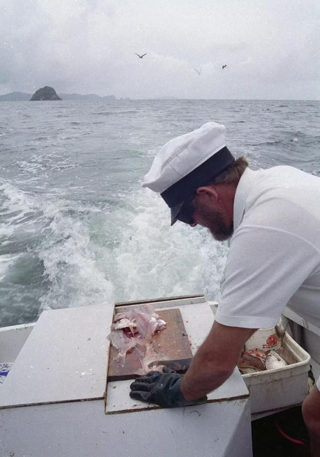 The skipper chops some fish up, from Ferry Landing, Whitianga, New Zealand - 23rd November 1992