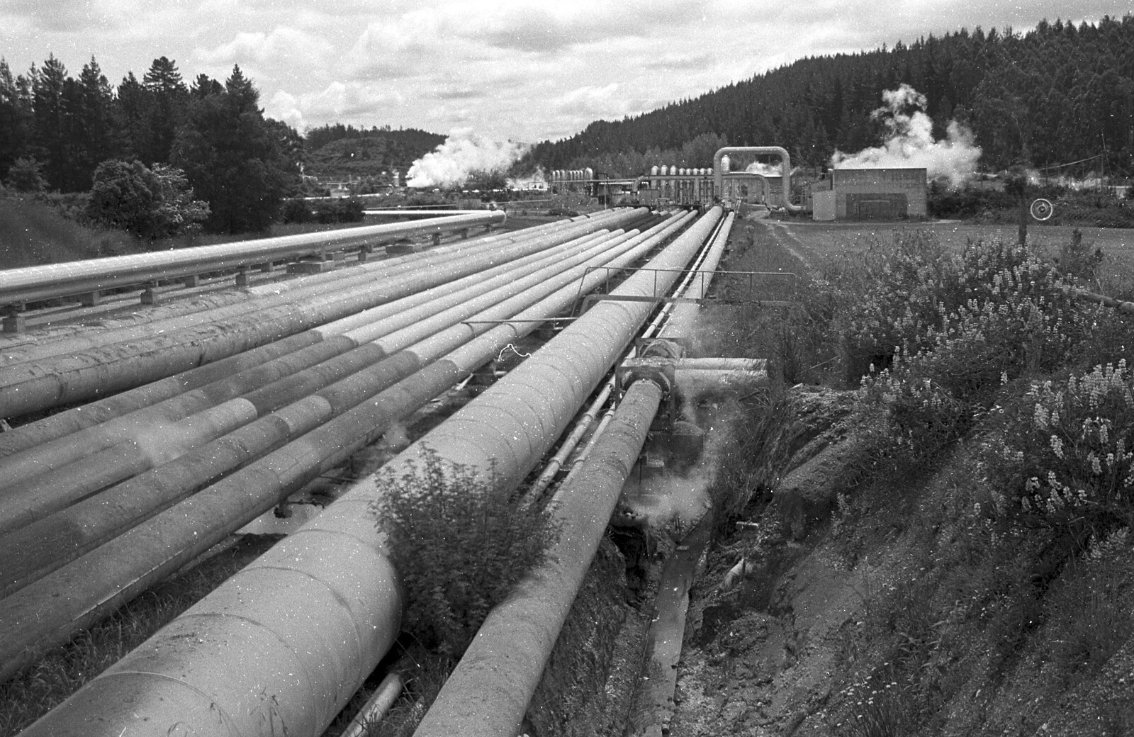 Geothermal pipes from A Road-trip Through Rotorua to Palmerston, North Island, New Zealand - 27th November 1992