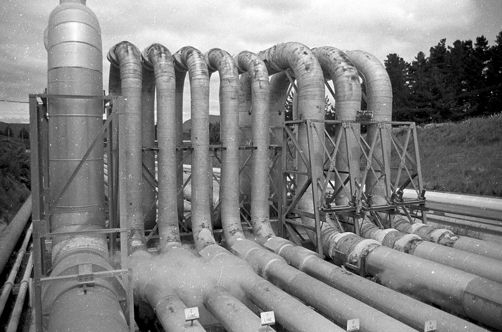 Geothermal pipe work from A Road-trip Through Rotorua to Palmerston, North Island, New Zealand - 27th November 1992