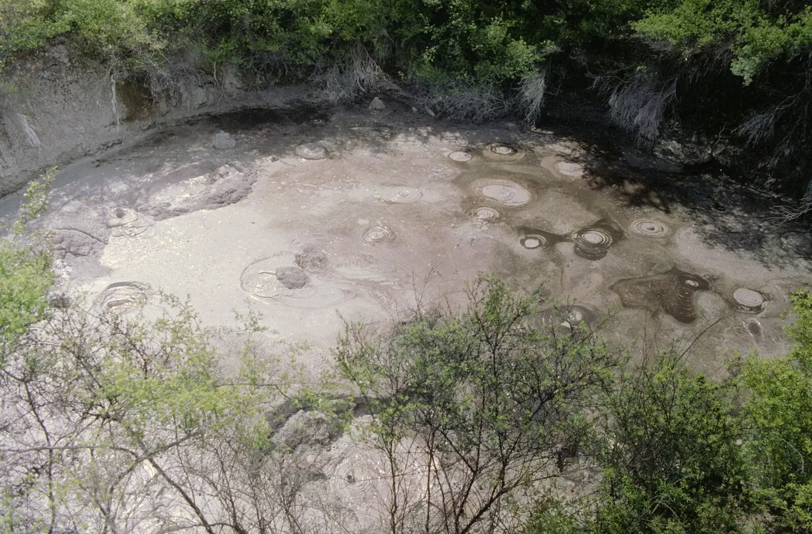 Bubbling mud pools, from A Road-trip Through Rotorua to Palmerston, North Island, New Zealand - 27th November 1992