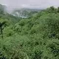 Lush greenery, and more steam, A Road-trip Through Rotorua to Palmerston, North Island, New Zealand - 27th November 1992