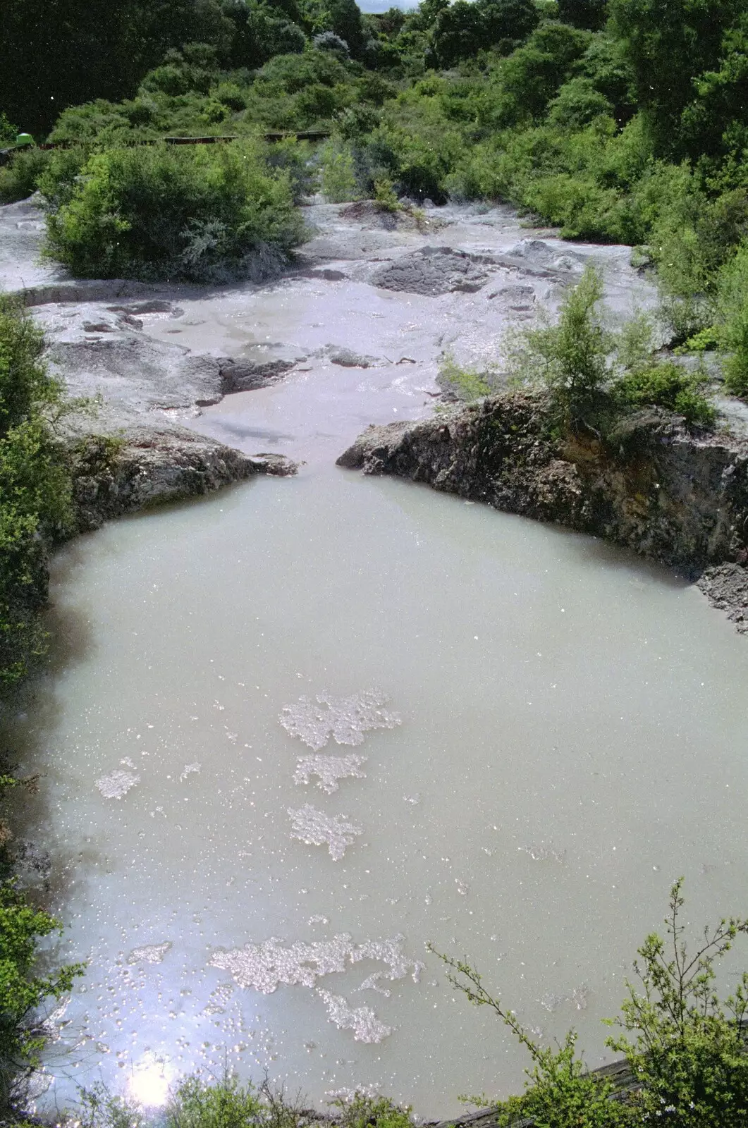 A strange milky pond, from A Road-trip Through Rotorua to Palmerston, North Island, New Zealand - 27th November 1992