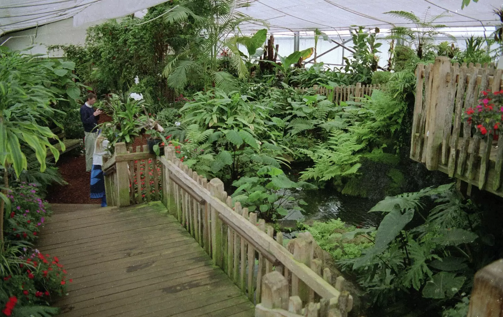 Inside a botanical garden, from A Road-trip Through Rotorua to Palmerston, North Island, New Zealand - 27th November 1992