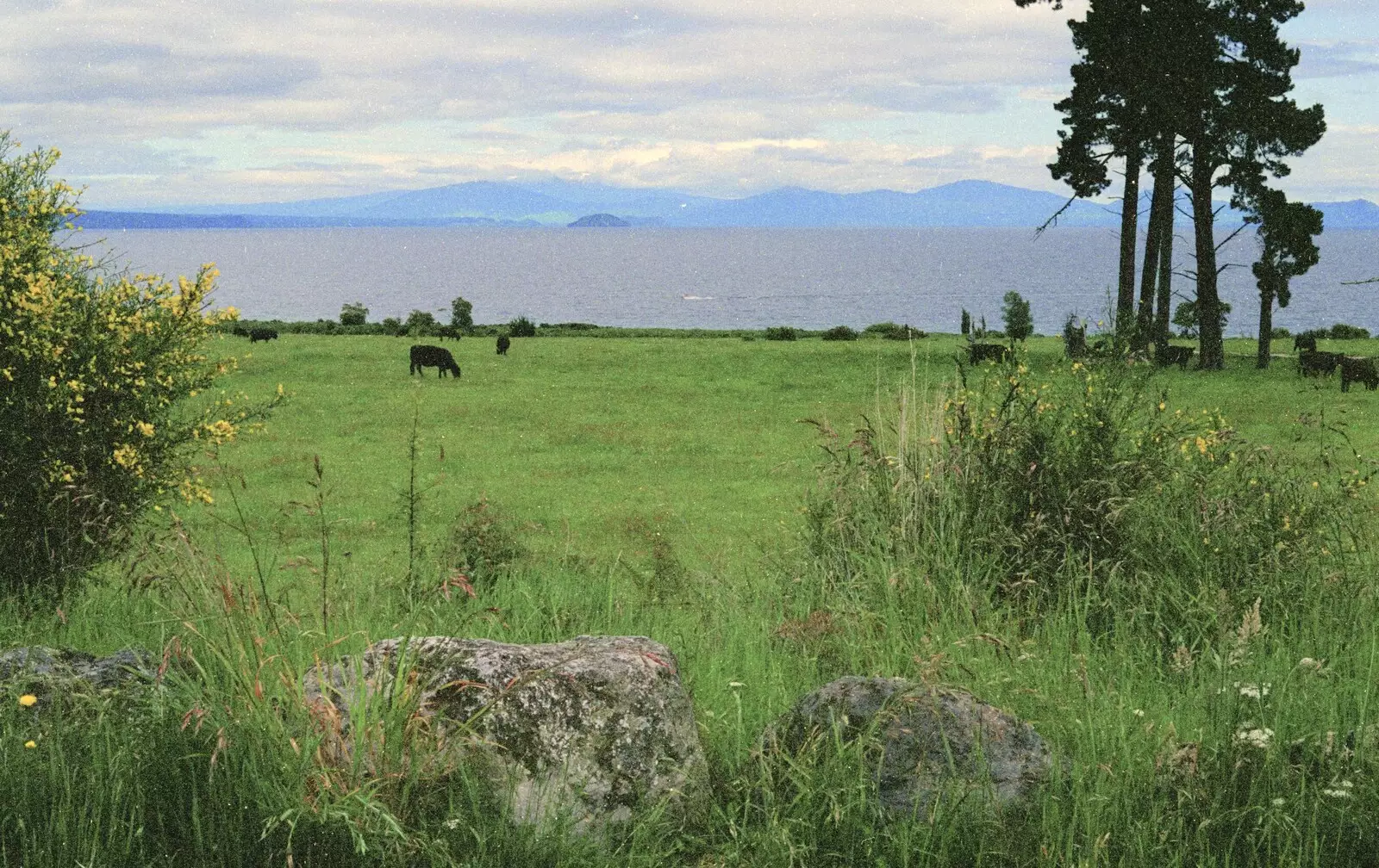 Lake Taupo, from A Road-trip Through Rotorua to Palmerston, North Island, New Zealand - 27th November 1992