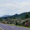 The road continues, A Road-trip Through Rotorua to Palmerston, North Island, New Zealand - 27th November 1992