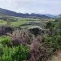 Mountains and New Zealand foliage, A Road-trip Through Rotorua to Palmerston, North Island, New Zealand - 27th November 1992