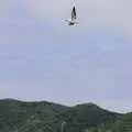 A gannet flies past, The Bay Of Islands, New Zealand - 29th November 1992