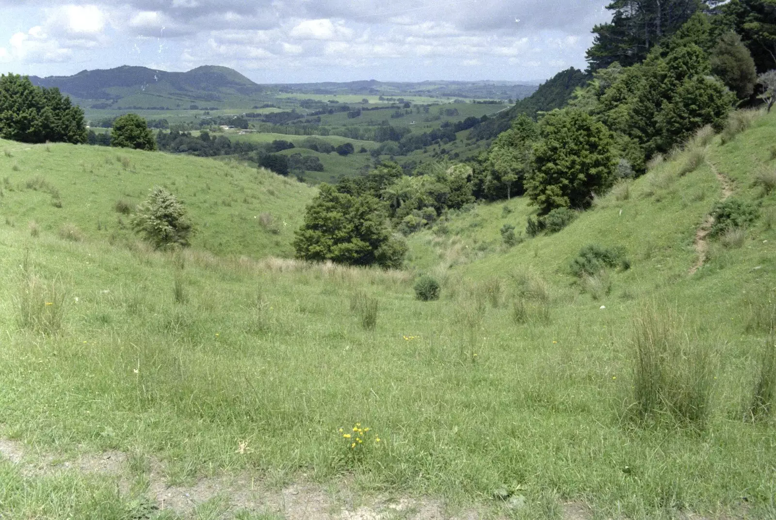 More New Zealand countryside, from The Bay Of Islands, New Zealand - 29th November 1992