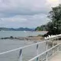 A load of gulls perch on a fence, The Bay Of Islands, New Zealand - 29th November 1992