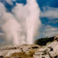 The big geyser at Rotorua
