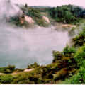 Steaming lake, just outside Rotorua