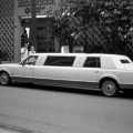 In Honolulu, a stretch Limo is spotted