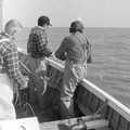 The nets are hauled in, A Fishing Trip on the Linda M, Southwold, Suffolk - 25th April 1993