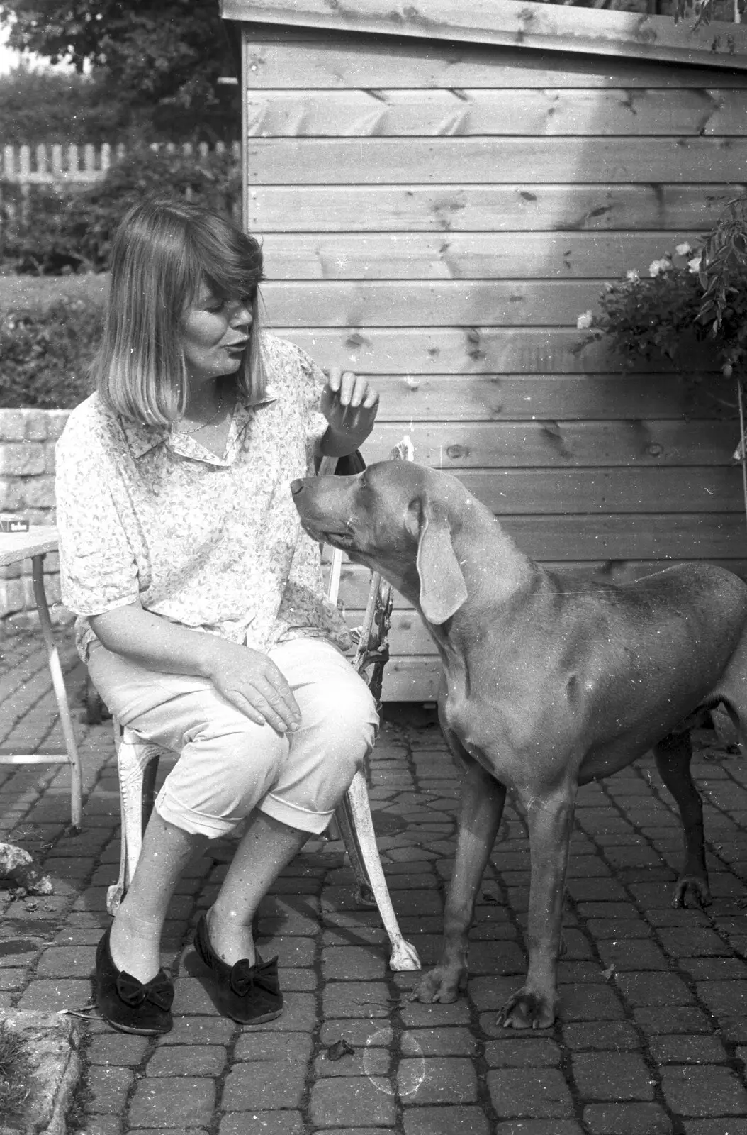 Mother talks to Watson, the Weimaraner, from London Party and a Trip to Mother's, Hoo Meavy, Devon - 5th August 1993