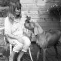 Mother talks to Watson, the Weimaraner, London Party and a Trip to Mother's, Hoo Meavy, Devon - 5th August 1993