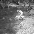London Party and a Trip to Mother's, Hoo Meavy, Devon - 5th August 1993, Mike fishes Watson out of the river