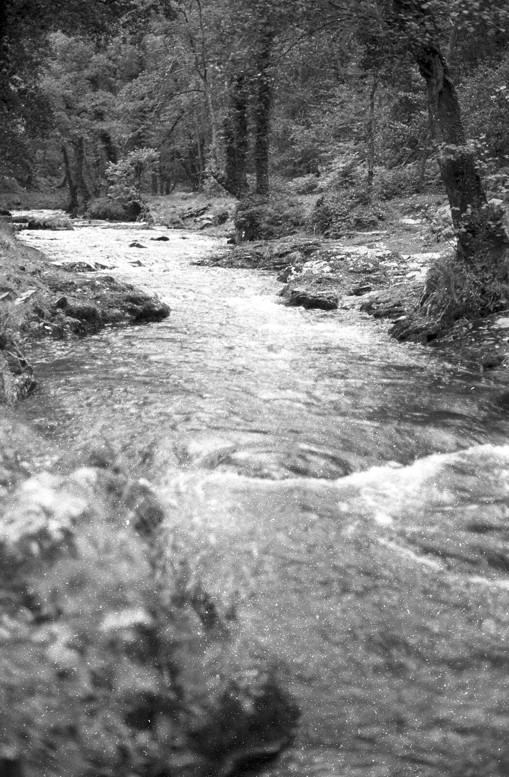 London Party and a Trip to Mother's, Hoo Meavy, Devon - 5th August 1993: A river scene