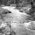 A river scene, London Party and a Trip to Mother's, Hoo Meavy, Devon - 5th August 1993