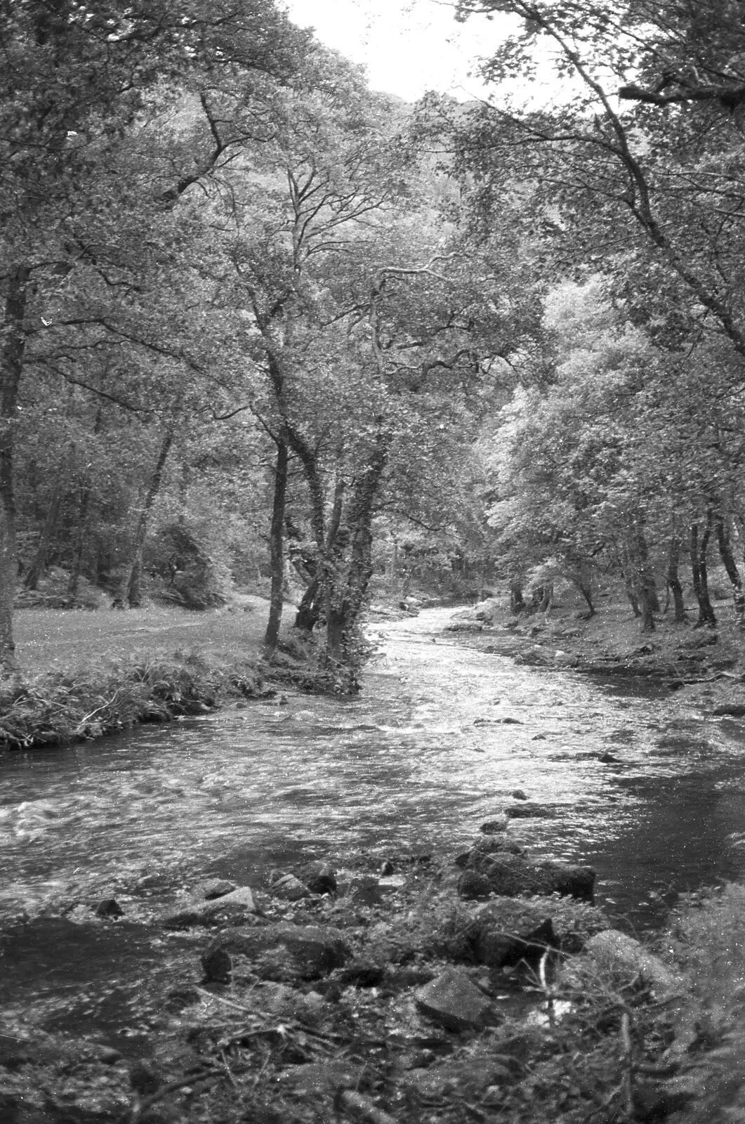 The river at the bottom of the valley, from London Party and a Trip to Mother's, Hoo Meavy, Devon - 5th August 1993