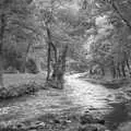 The river at the bottom of the valley, London Party and a Trip to Mother's, Hoo Meavy, Devon - 5th August 1993