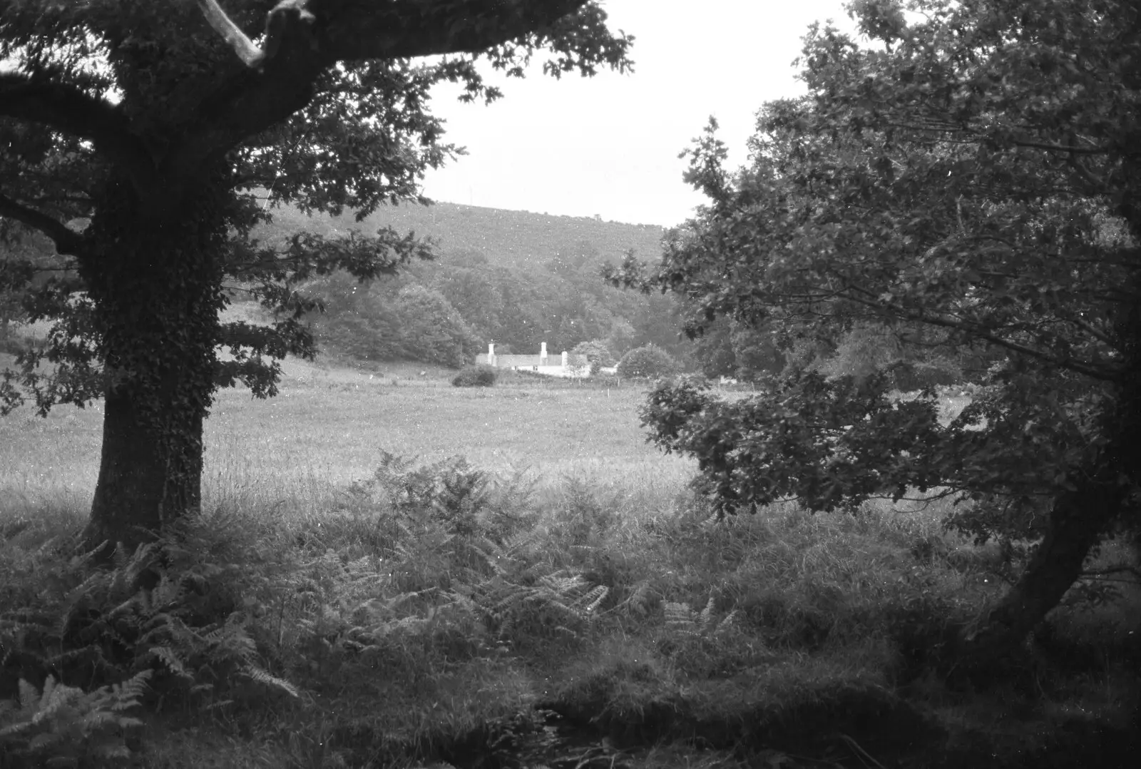 Farm buildings in Hoo Meavy, from London Party and a Trip to Mother's, Hoo Meavy, Devon - 5th August 1993