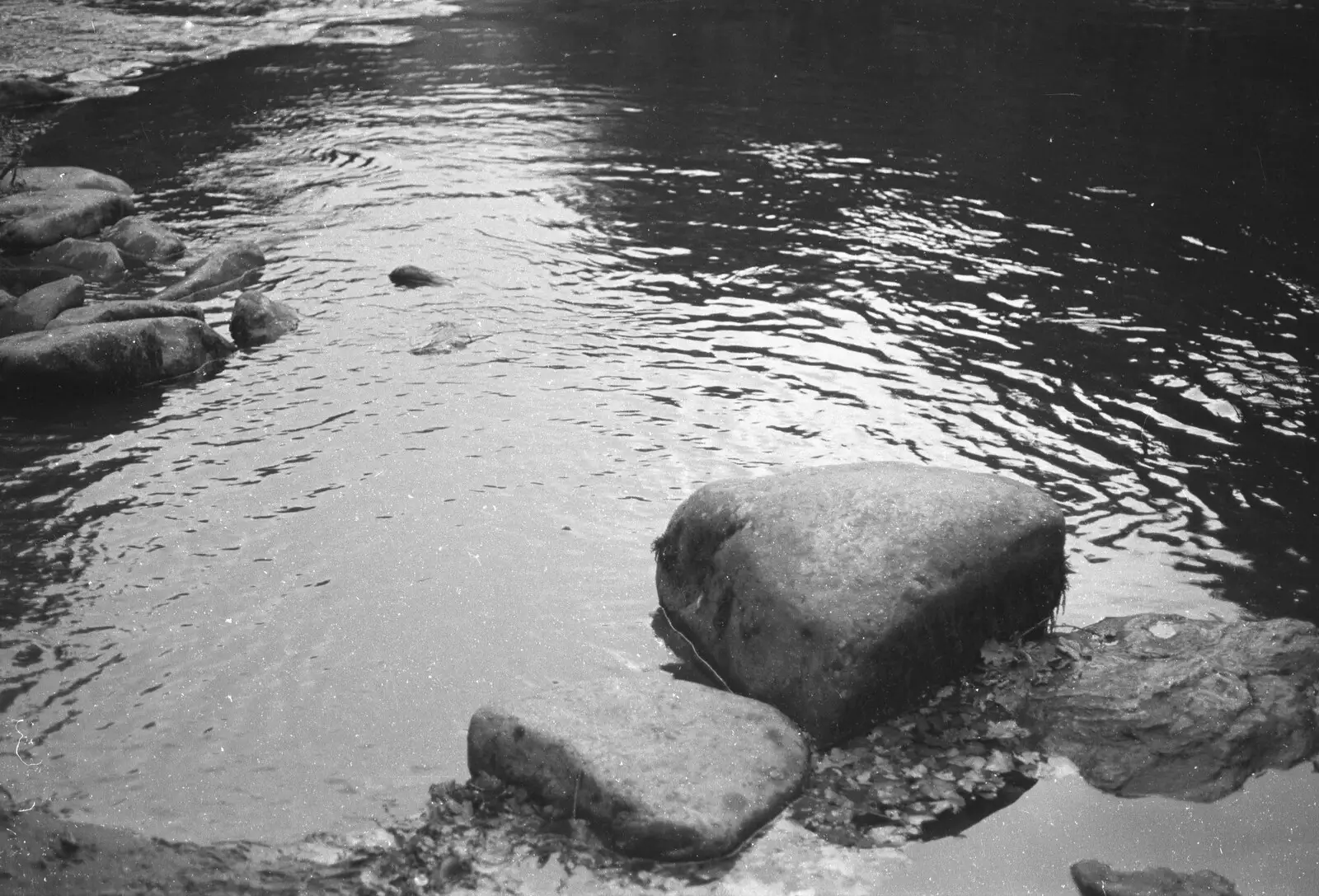 A rock pool, from London Party and a Trip to Mother's, Hoo Meavy, Devon - 5th August 1993