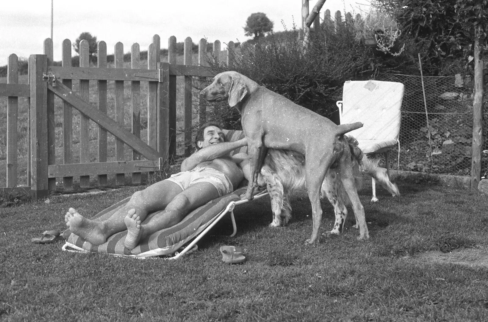 Mike is assaulted by the dogs, from London Party and a Trip to Mother's, Hoo Meavy, Devon - 5th August 1993