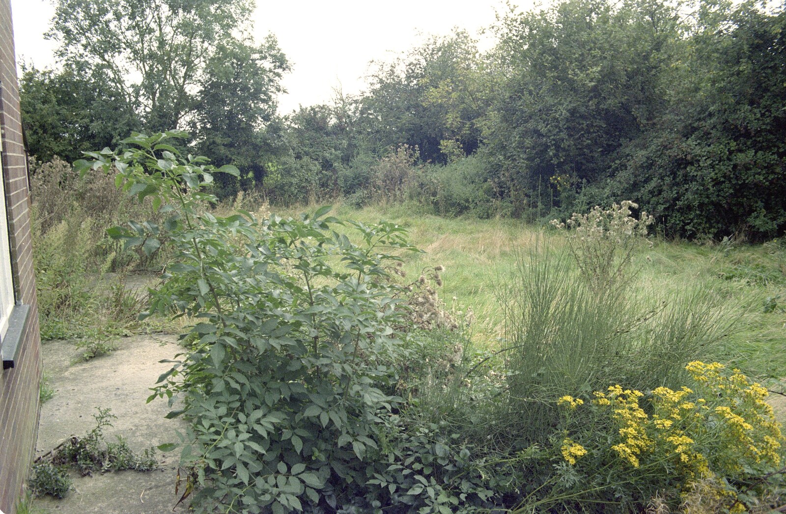 The corner of the front garden from Moving In, Brome, Suffolk - 10th April 1994