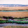 Looking over salt marshes at Hurst Castle