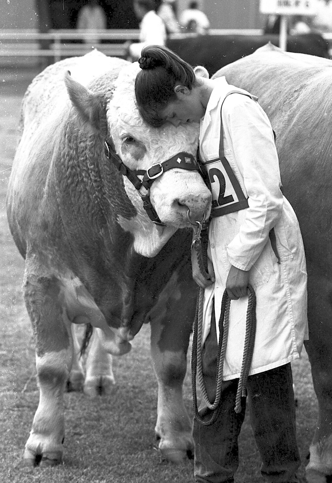 The Royal Norfolk Show, Costessey, Norwich - June 20th 1994: More hugs for the bull