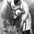 More hugs for the bull, The Royal Norfolk Show, Costessey Showground, Norwich - June 20th 1994