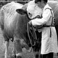 A girl really loves her bull, The Royal Norfolk Show, Costessey Showground, Norwich - June 20th 1994
