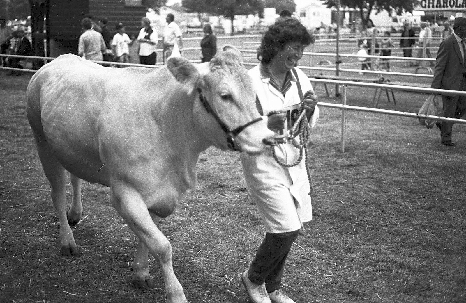 The Royal Norfolk Show, Costessey, Norwich - June 20th 1994: A cow goes for a walk
