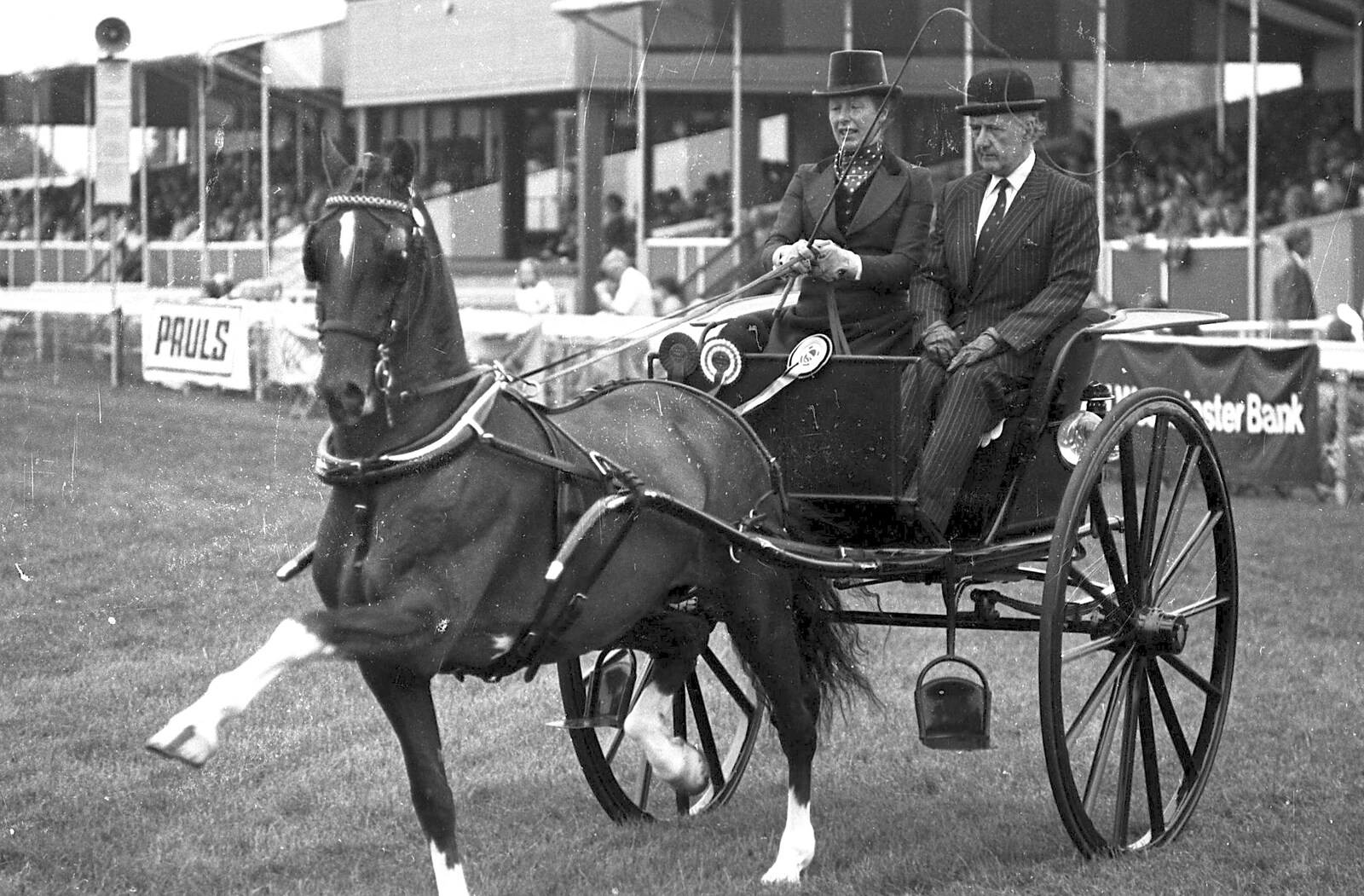 The Royal Norfolk Show, Costessey, Norwich - June 20th 1994: A horse prances around the show ring