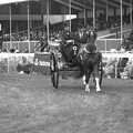 1994 Riding around the show ring