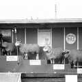 There's an amusing sheep show, The Royal Norfolk Show, Costessey Showground, Norwich - June 20th 1994