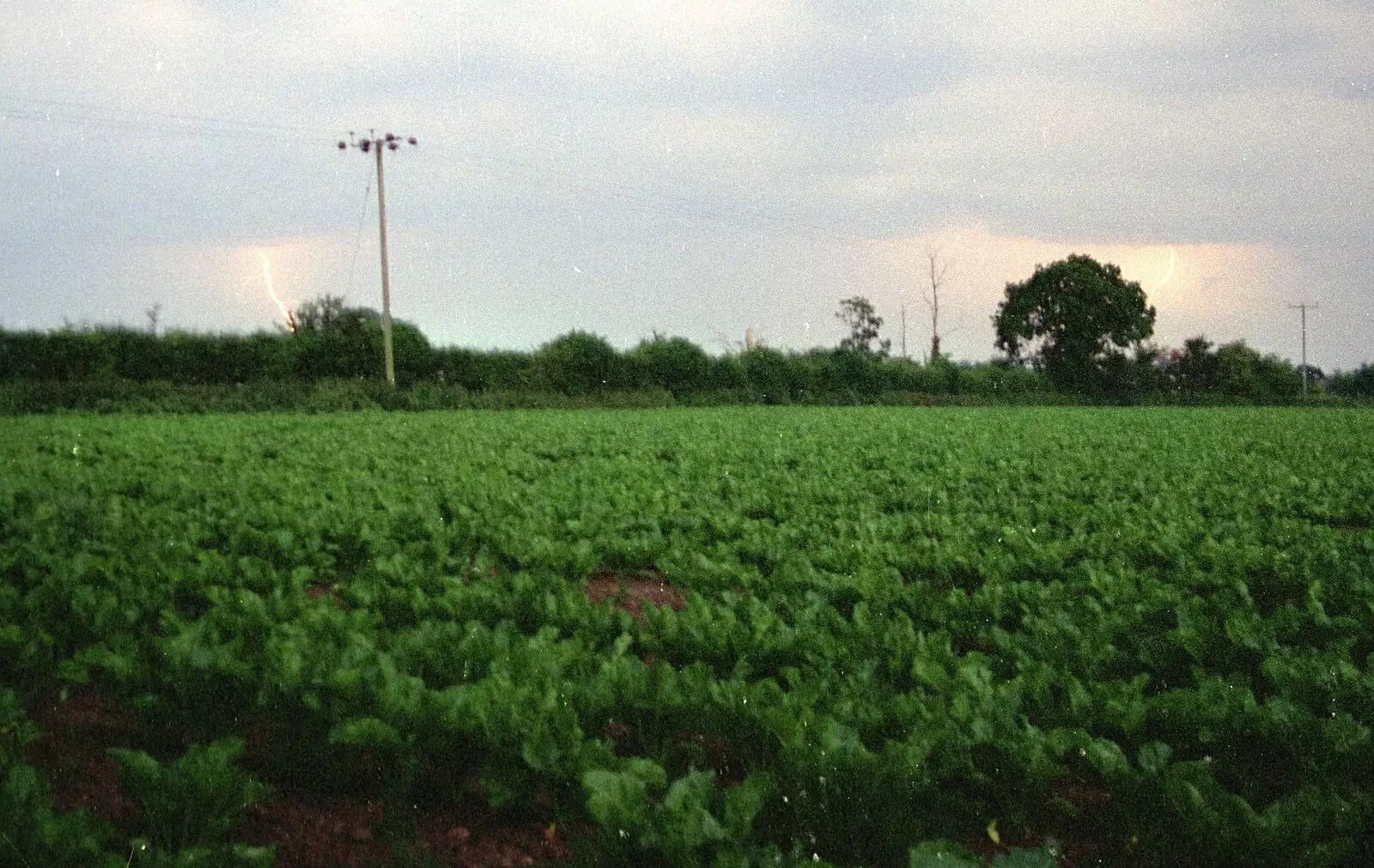 The lightning rumbles towards the sugar beet, from House Renovation Randomness and a Spot of Lightning, Brome, Suffolk - 19th June 1994