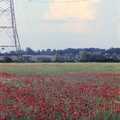 Poppies and a pylon, Orford With Riki and Dave, Poppies and an Alfie Afternoon, Suffolk - 6th August 1994