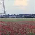 Poppies and a pylon, Orford With Riki and Dave, Poppies and an Alfie Afternoon, Suffolk - 6th August 1994