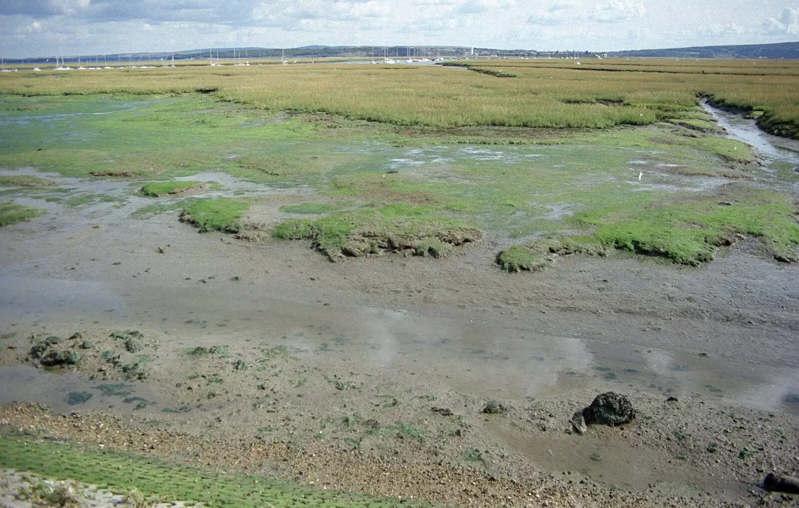 More of the marshes, from Grandmother's Seventieth Birthday, Brockenhurst and Keyhaven, Hampshire - 11th September 1994