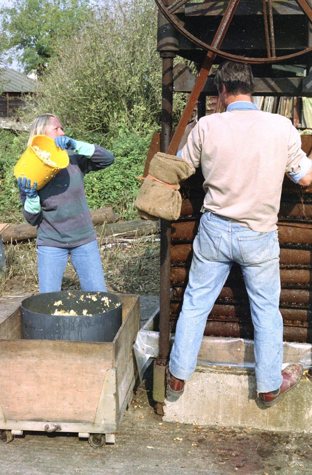 Cider Making (without Rosie), Stuston, Suffolk - 23rd September 1994: Mad Sue hurls some chopped apple into a cheese