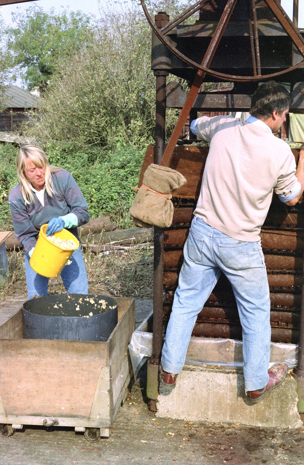 Cider Making (without Rosie), Stuston, Suffolk - 23rd September 1994: Sue scoops apple up