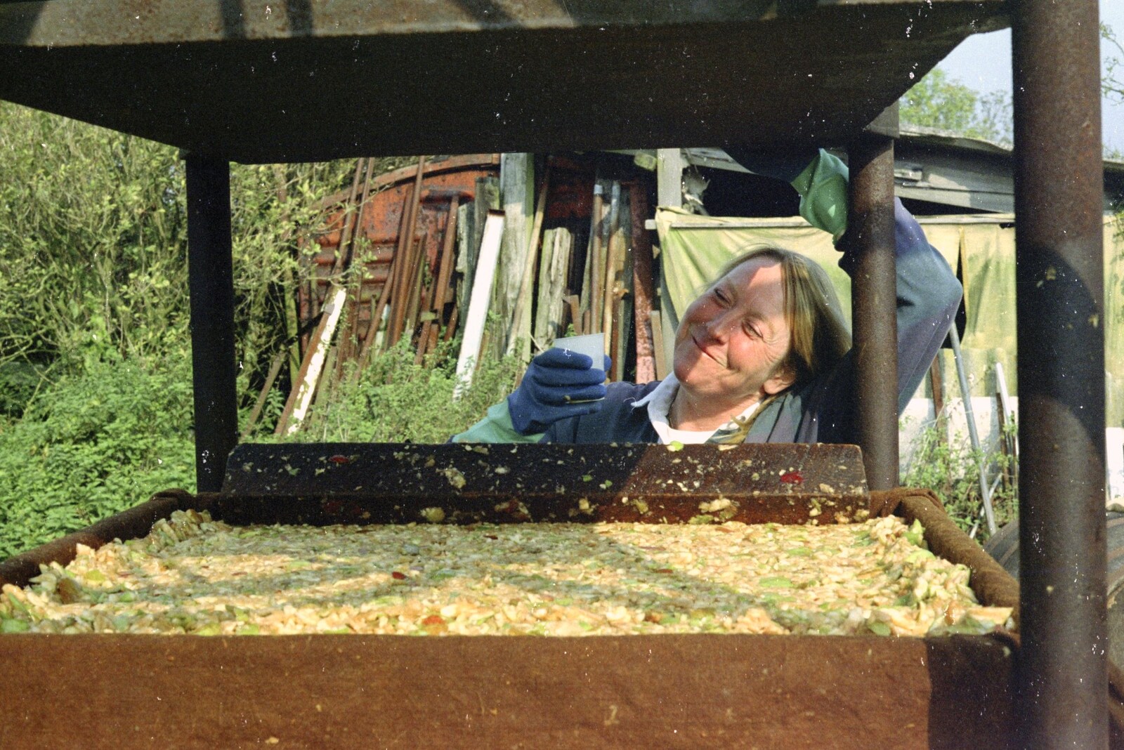 Cider Making (without Rosie), Stuston, Suffolk - 23rd September 1994: Sue has a crafty slurp of apple juice